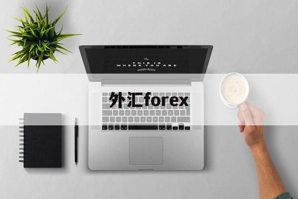 外汇forex(外汇forex是什么意思)